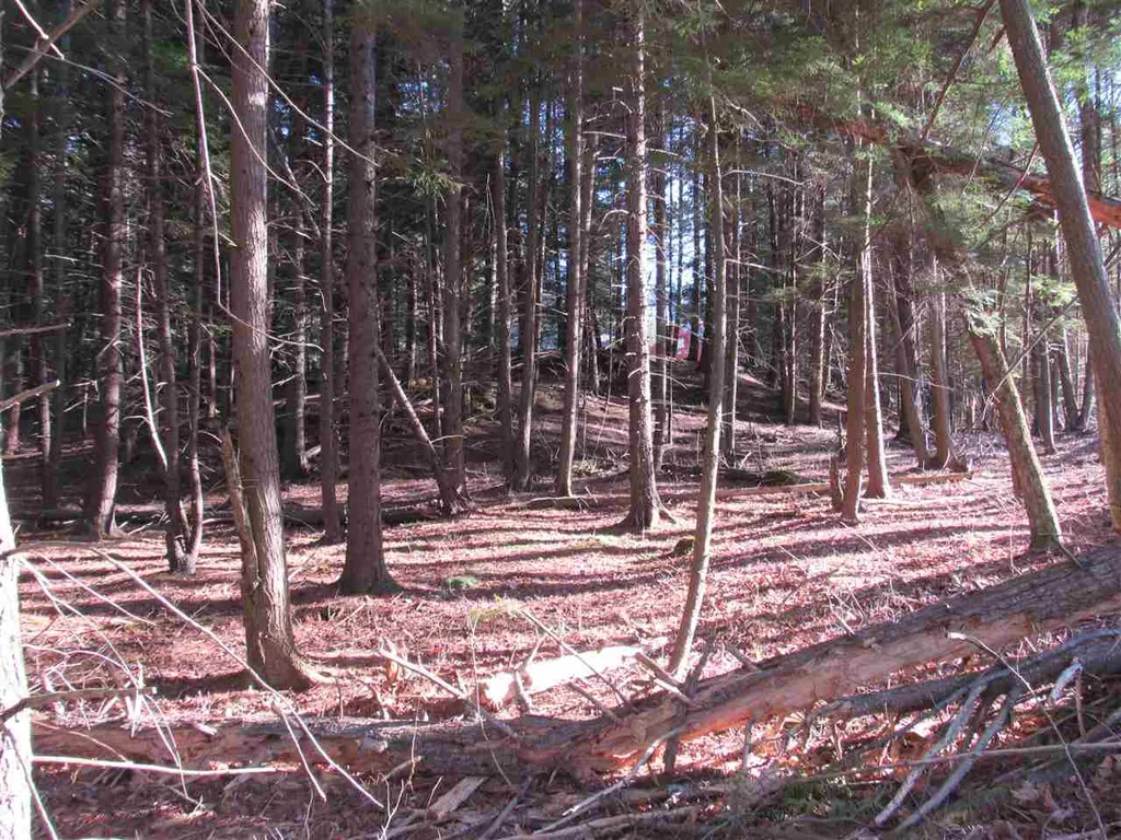 0 Carlton Hill Road Woodstock VT 05091