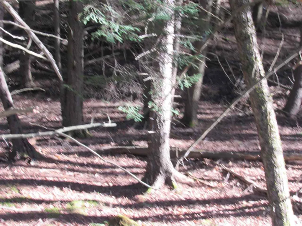0 Carlton Hill Road Woodstock VT 05091