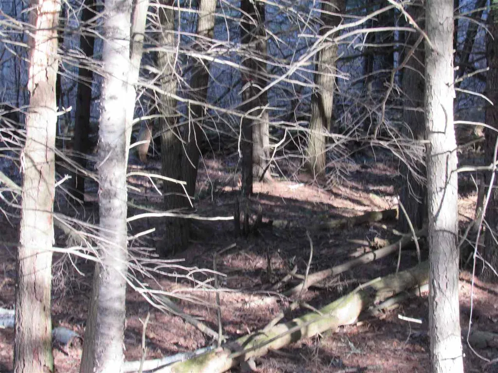 0 Carlton Hill Road Woodstock VT 05091