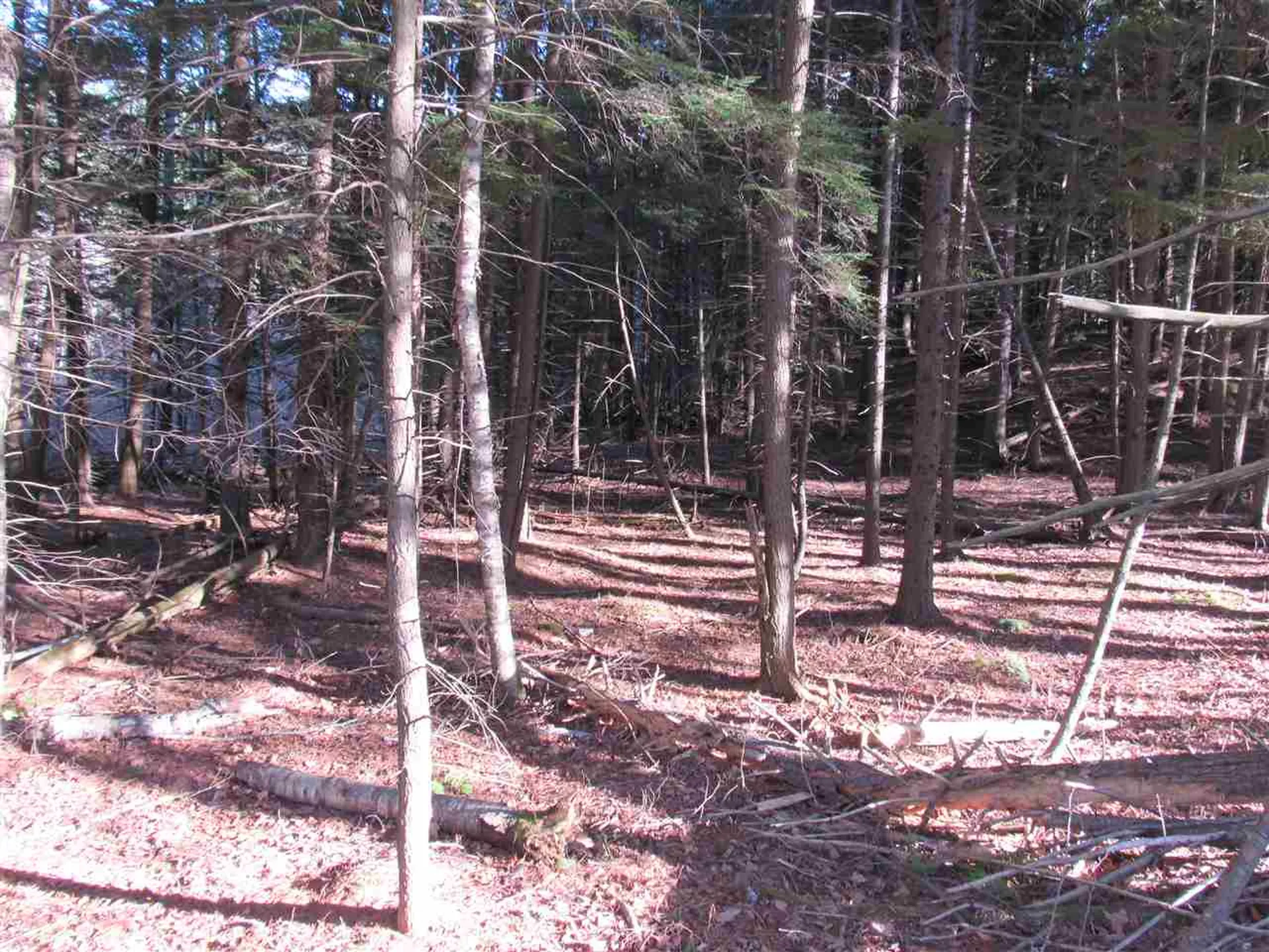 0 Carlton Hill Road Woodstock VT 05091