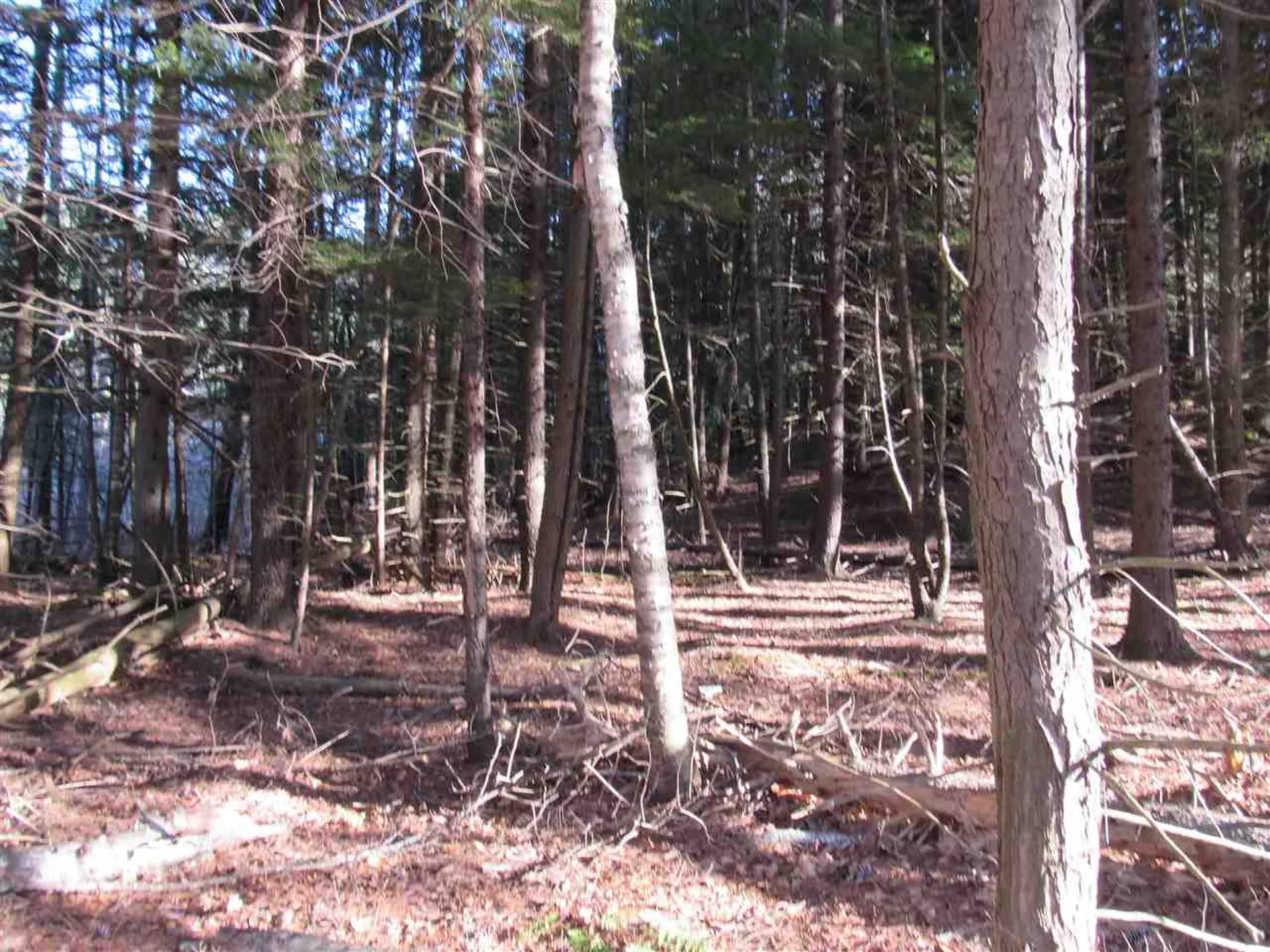 0 Carlton Hill Road Woodstock VT 05091