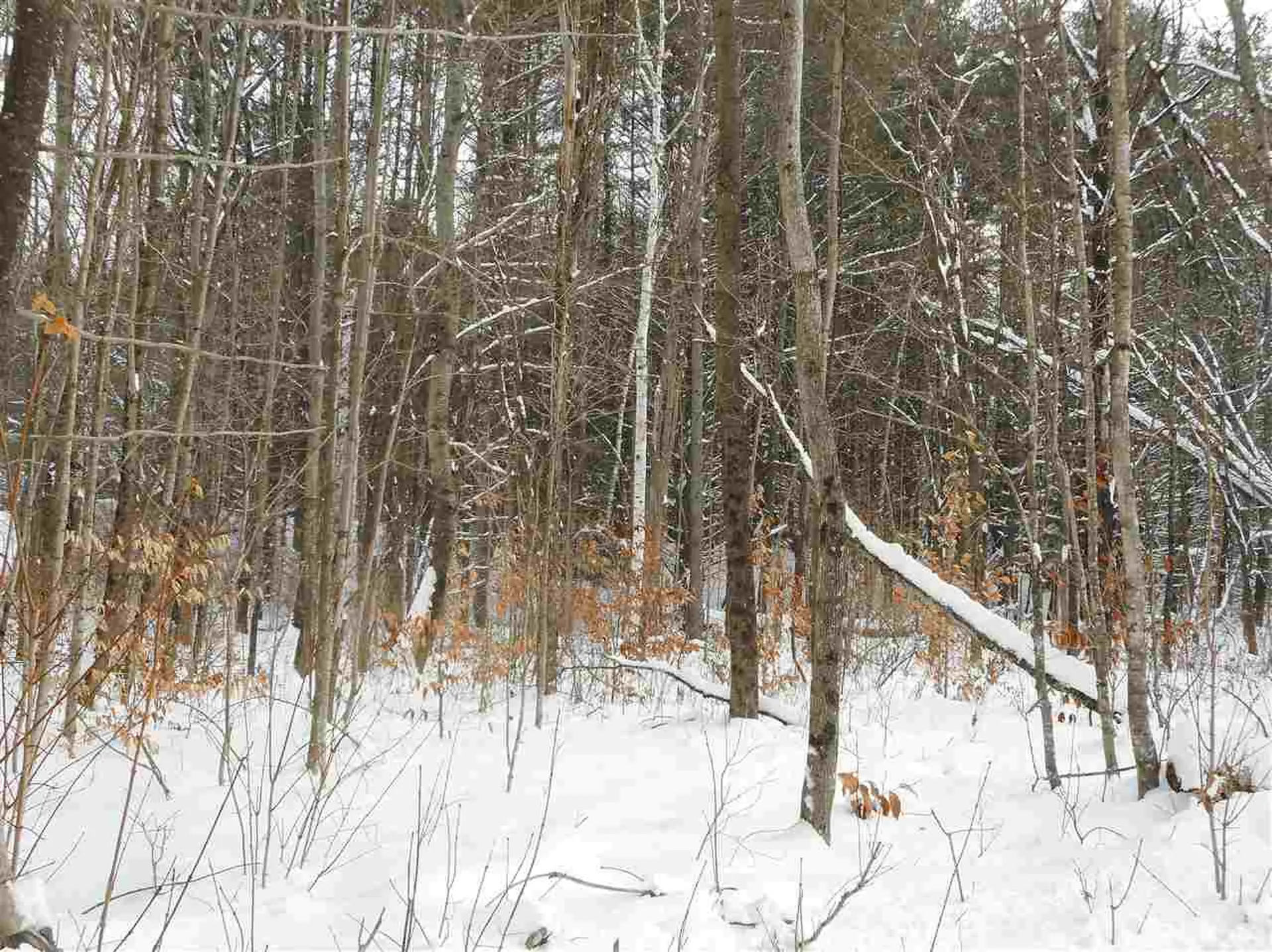 0 Carlton Hill Road Woodstock VT 05091