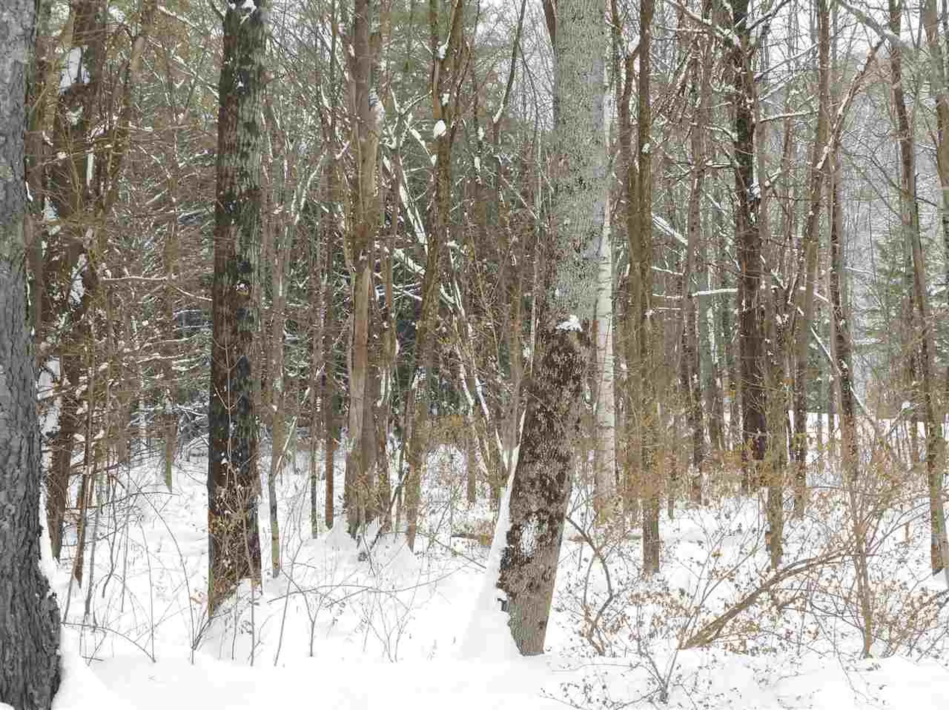 0 Carlton Hill Road Woodstock VT 05091