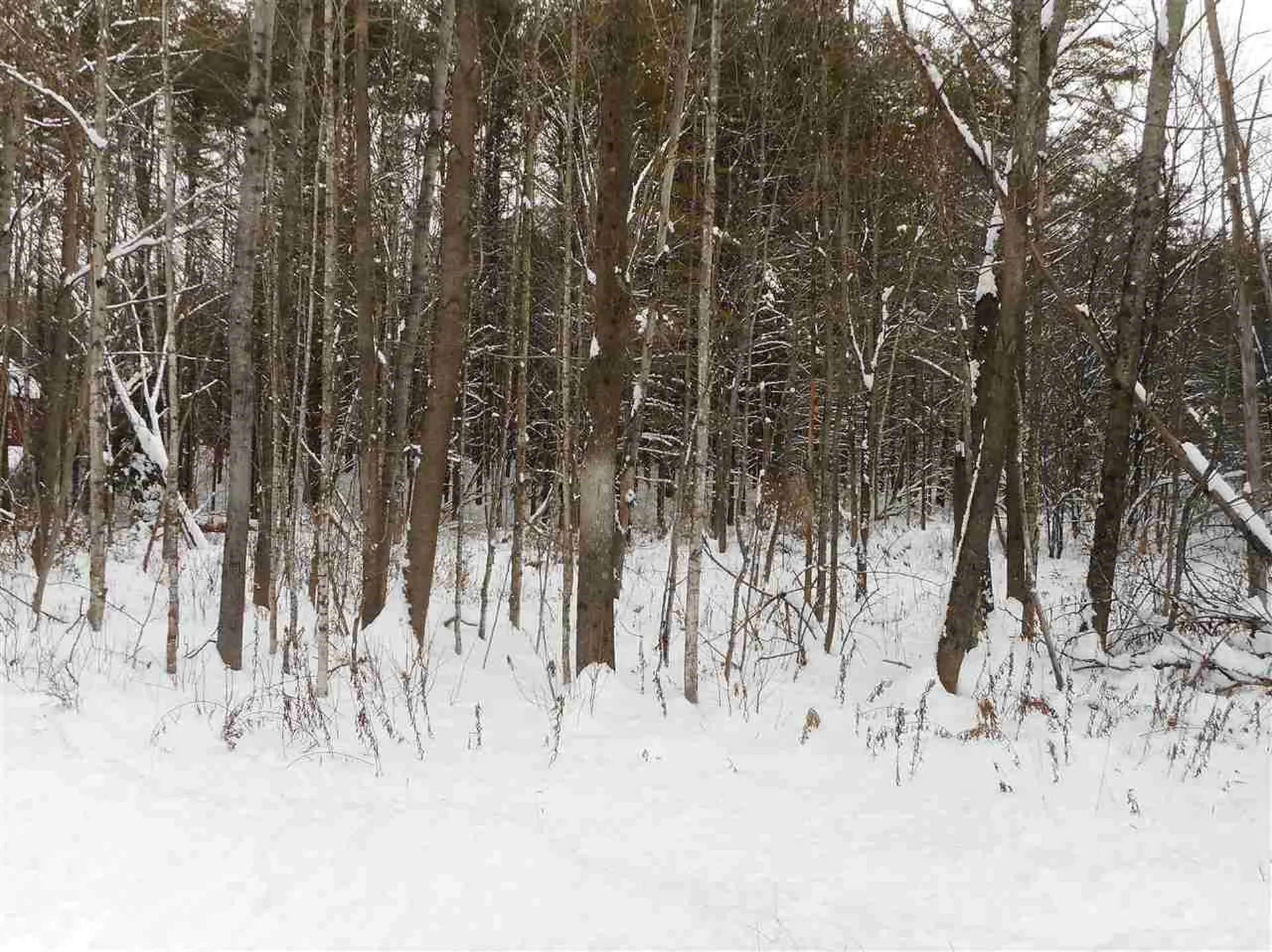 0 Carlton Hill Road Woodstock VT 05091