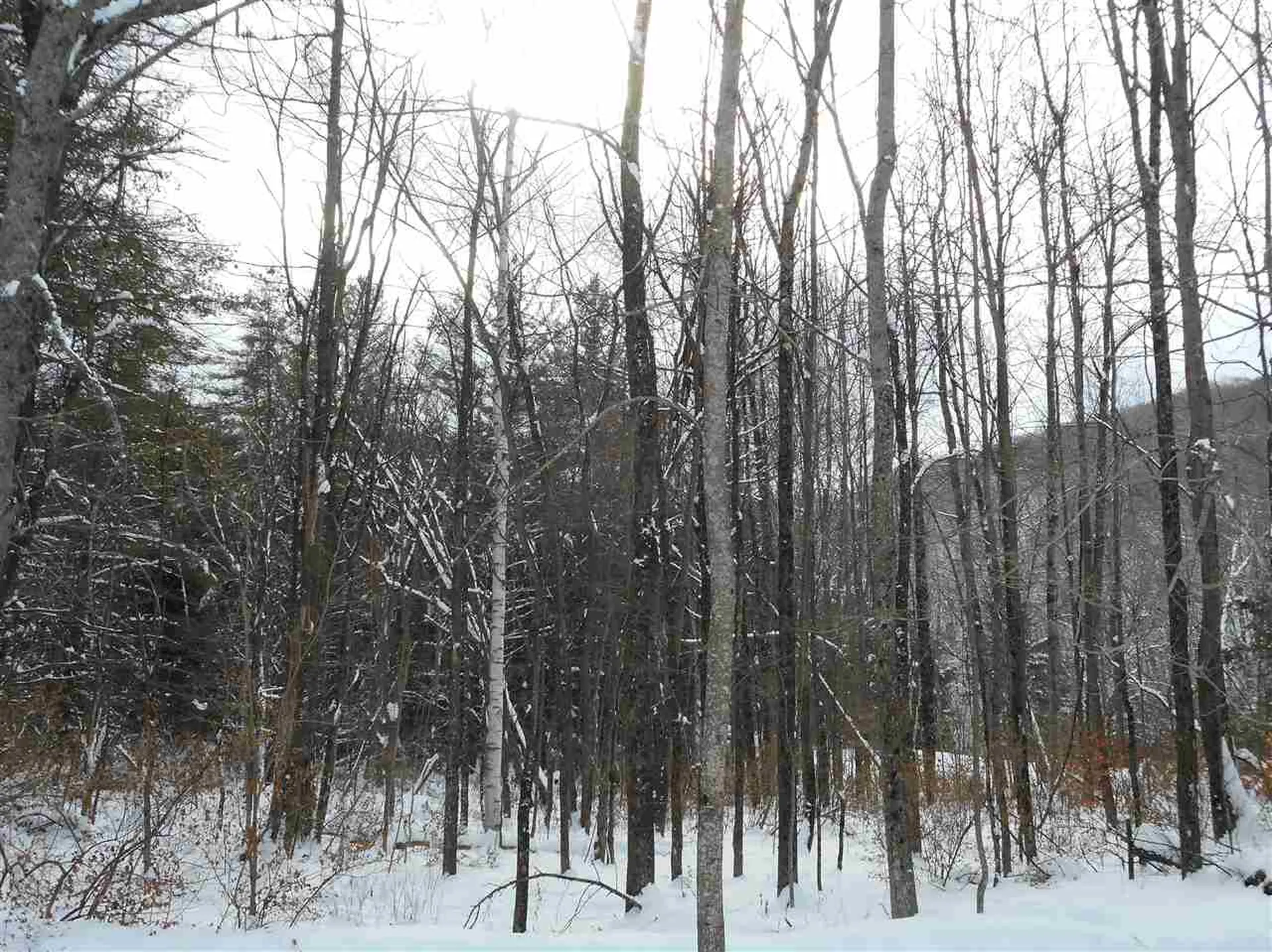0 Carlton Hill Road Woodstock VT 05091