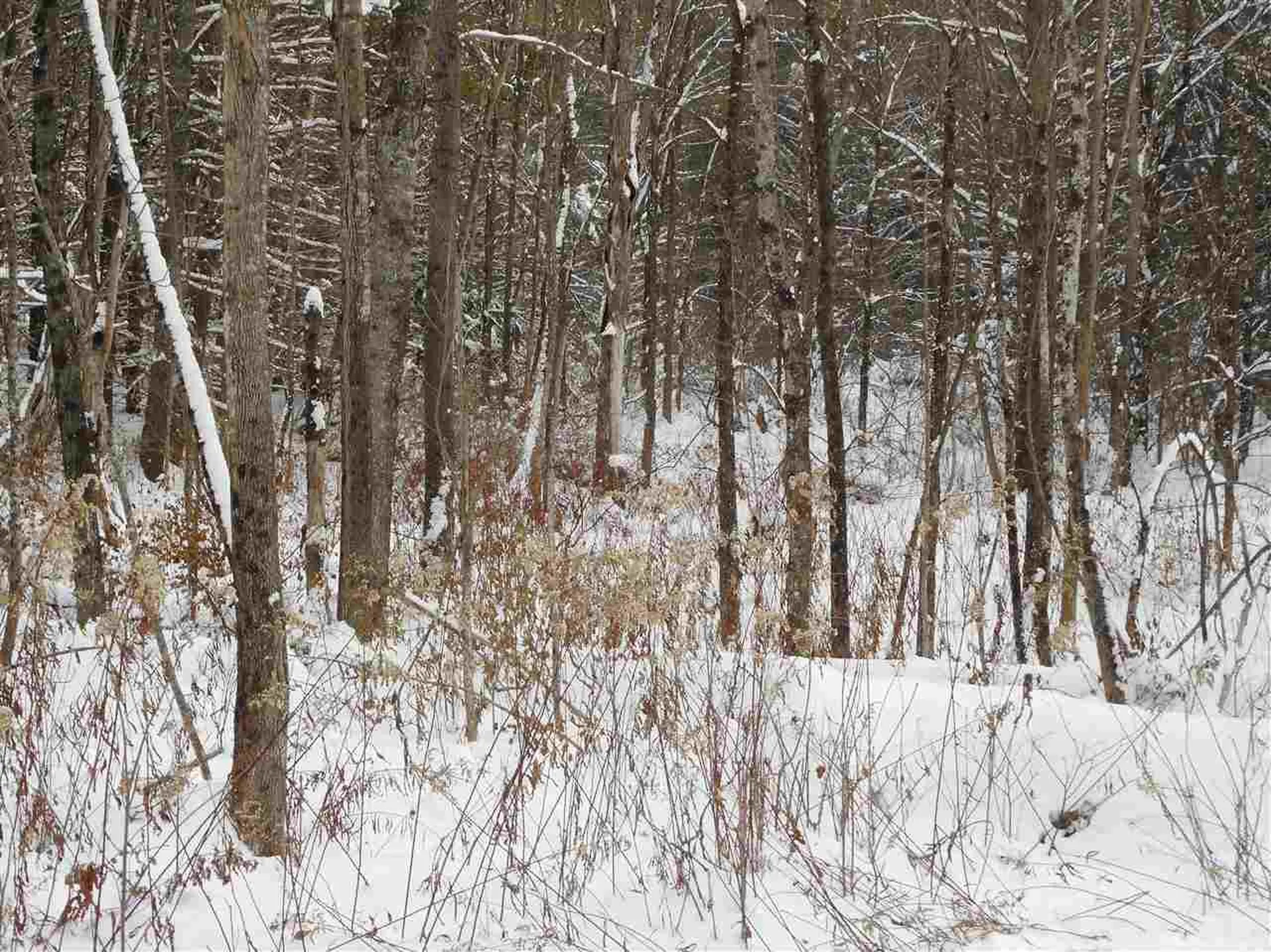 0 Carlton Hill Road Woodstock VT 05091