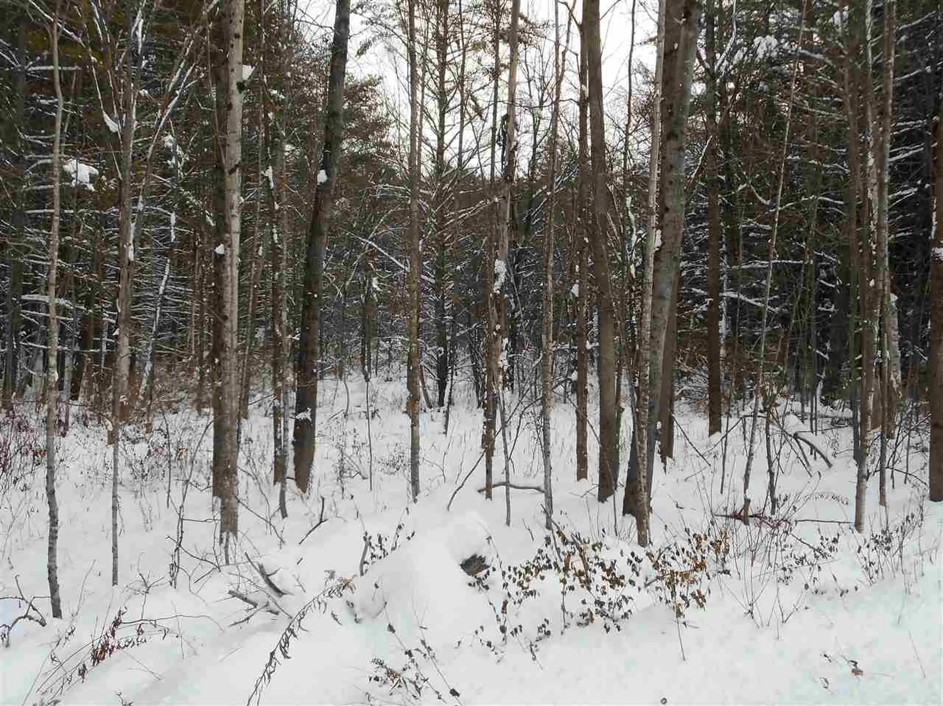 0 Carlton Hill Road Woodstock VT 05091
