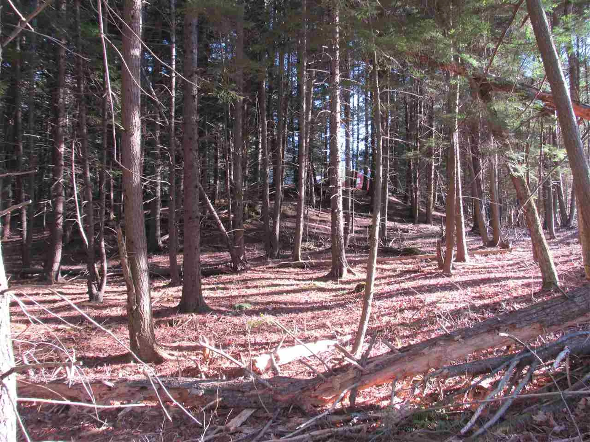 0 Carlton Hill Road Woodstock VT 05091
