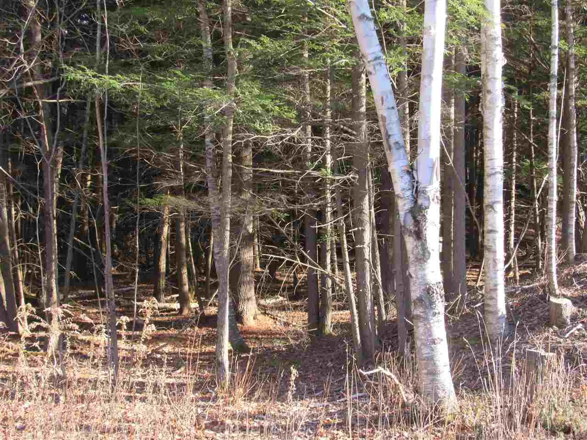 0 Carlton Hill Road Woodstock VT 05091