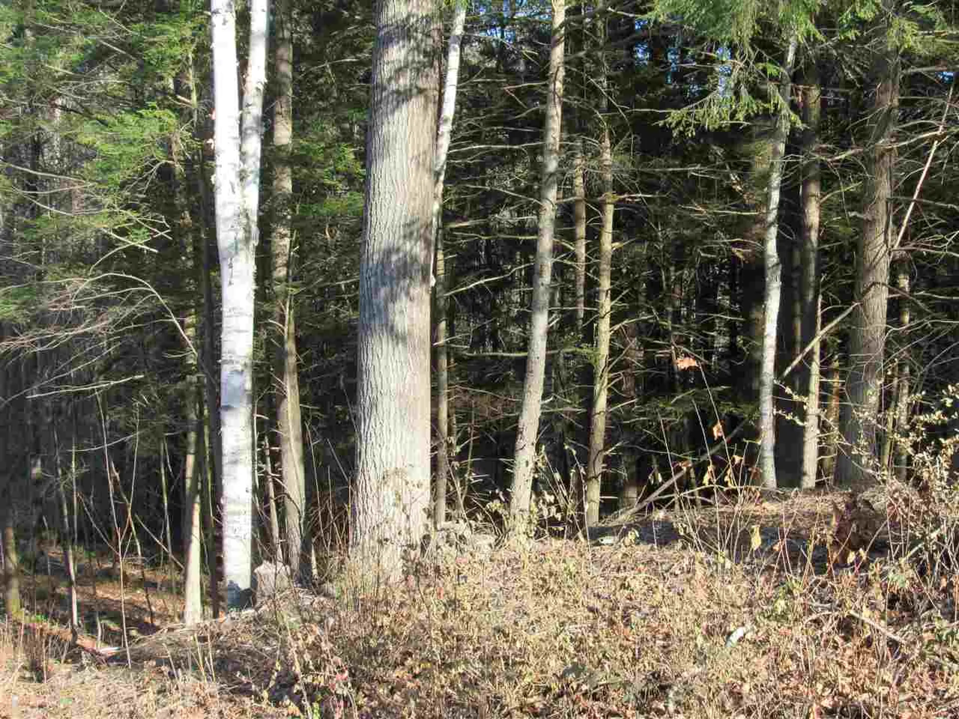 0 Carlton Hill Road Woodstock VT 05091