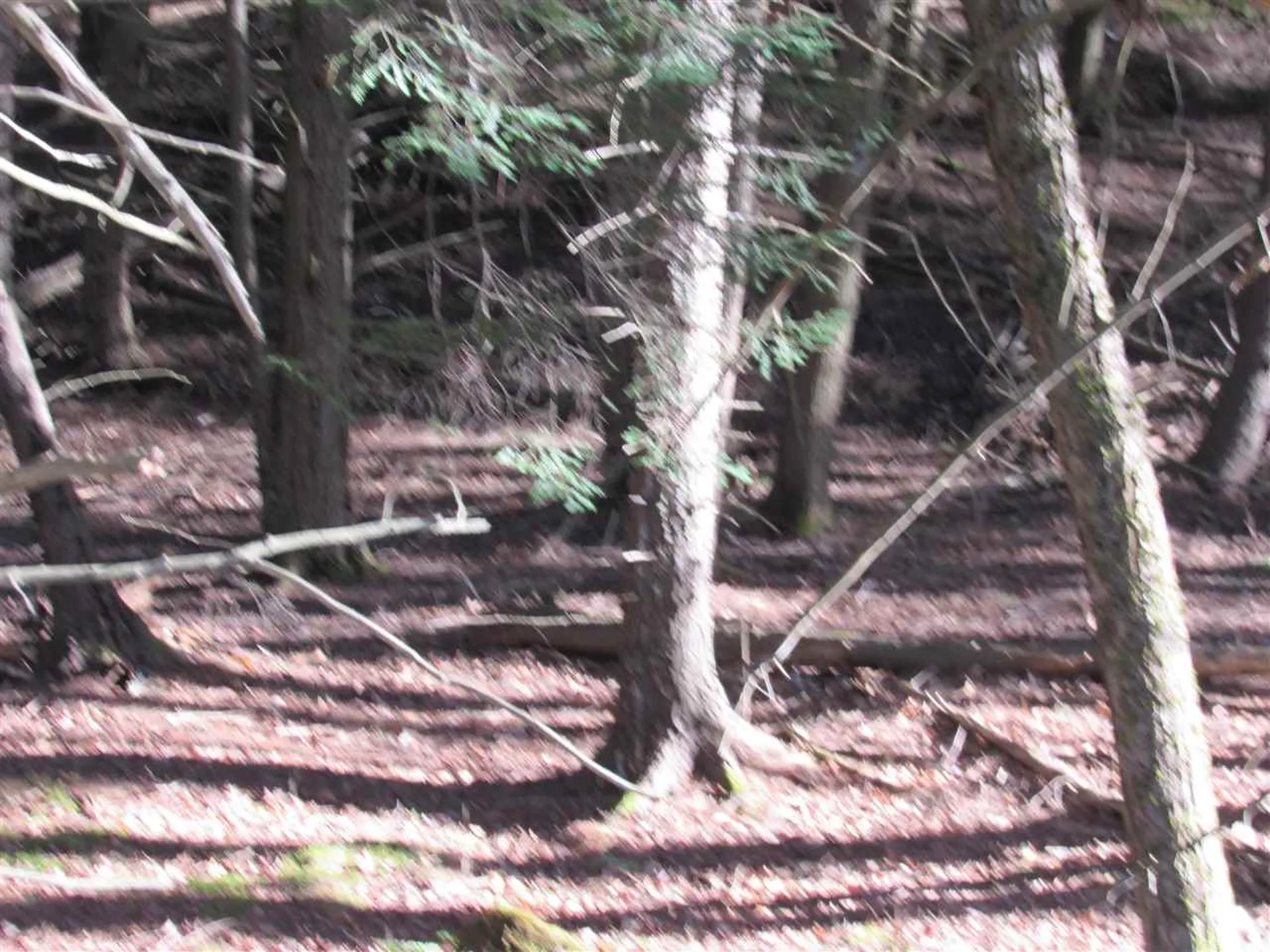 0 Carlton Hill Road Woodstock VT 05091