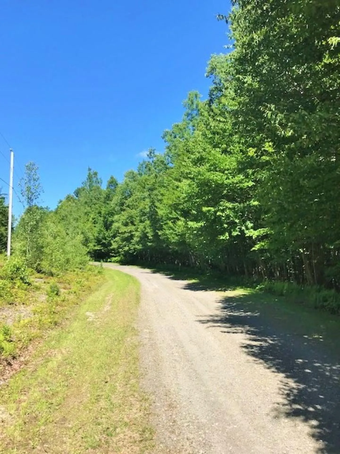 Femia Drive Stewartstown NH 03576
