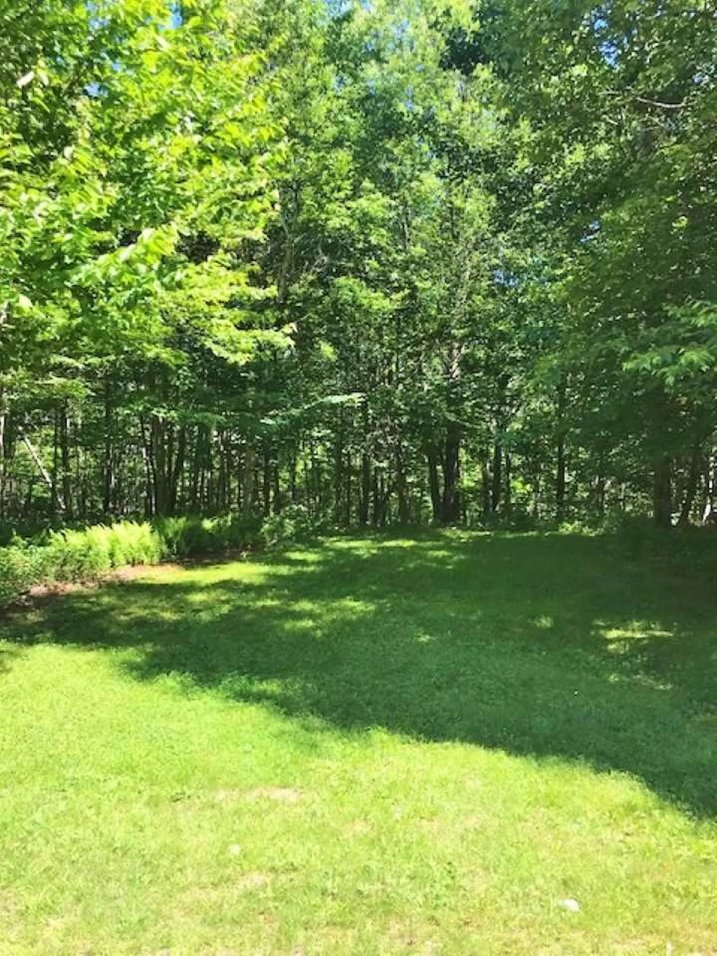Femia Drive Stewartstown NH 03576