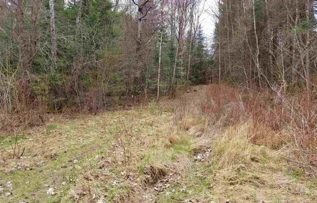 Faraway Road Dalton NH 03598
