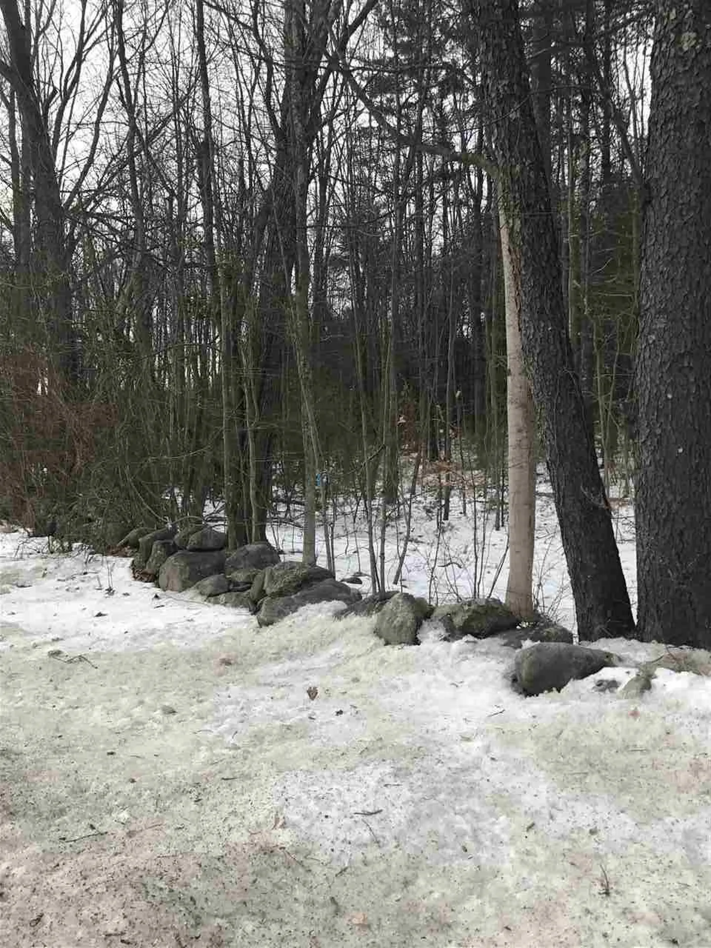 Lot 14-67-1 Wallace Road Bedford NH 03110