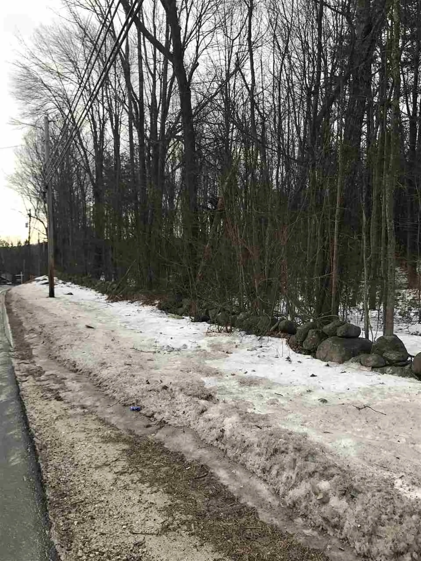 Lot 14-67-1 Wallace Road Bedford NH 03110