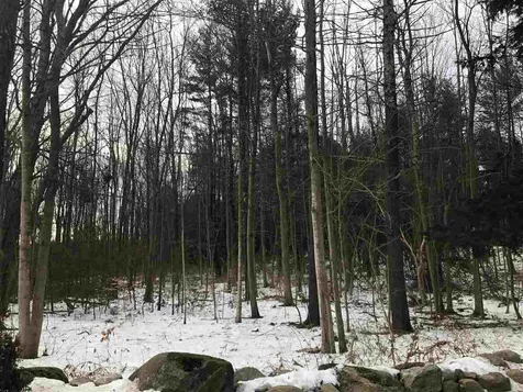 Lot 14-67-1 Wallace Road Bedford NH 03110