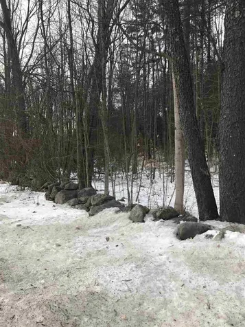 Lot 14-67-1 Wallace Road Bedford NH 03110