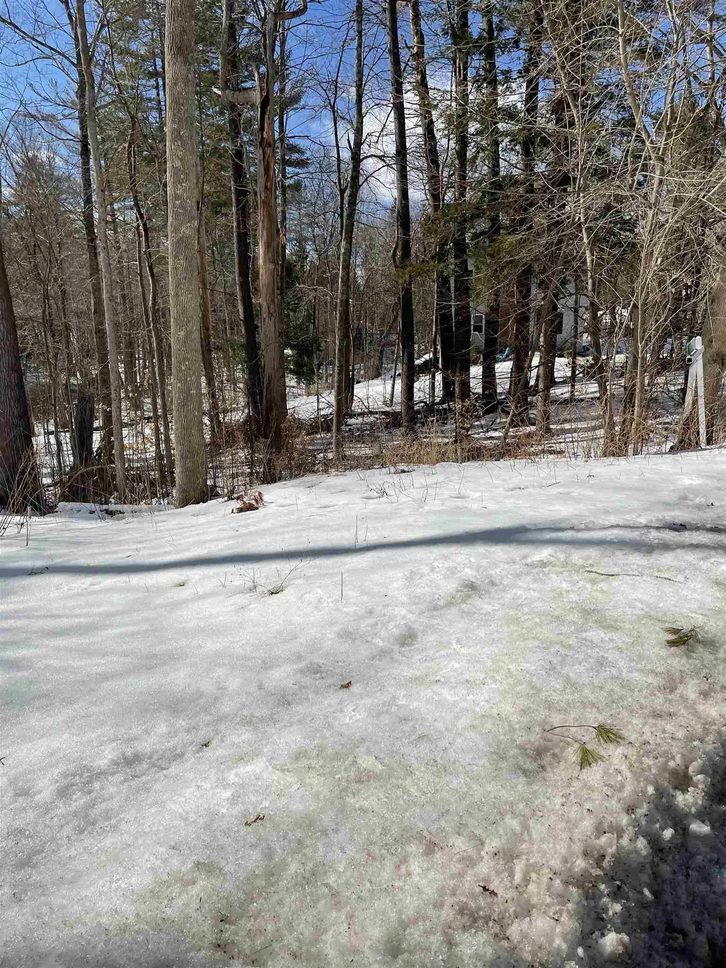 52 Oyster River Road Durham NH 03824-0009