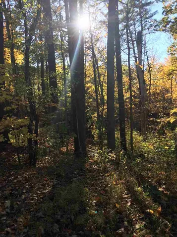 52 Oyster River Road Durham NH 03824-0009