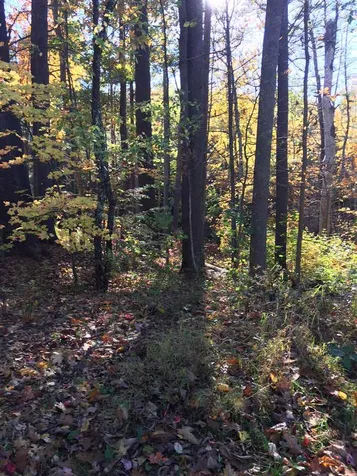 52 Oyster River Road Durham NH 03824-0009