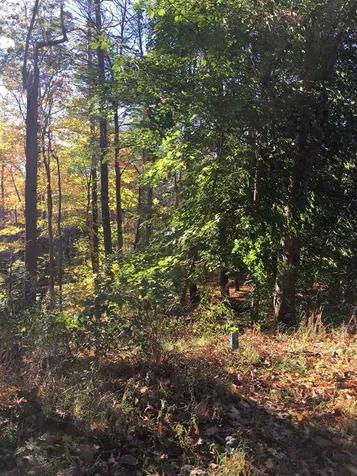 52 Oyster River Road Durham NH 03824-0009