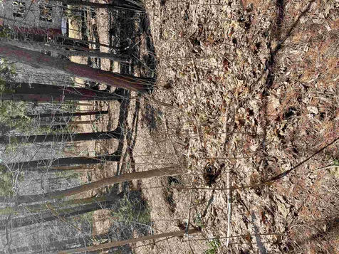 52 Oyster River Road Durham NH 03824-0009