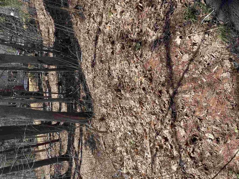 52 Oyster River Road Durham NH 03824-0009