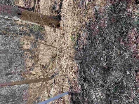 52 Oyster River Road Durham NH 03824-0009