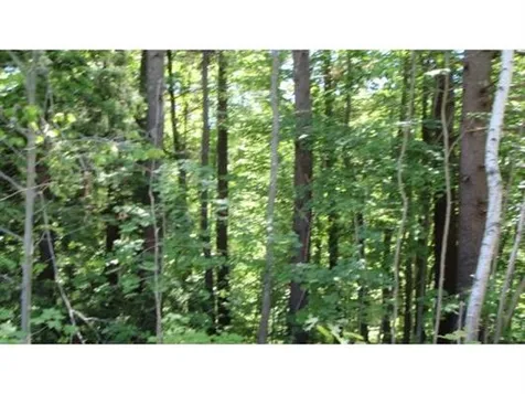 52 Oyster River Road Durham NH 03824-0009