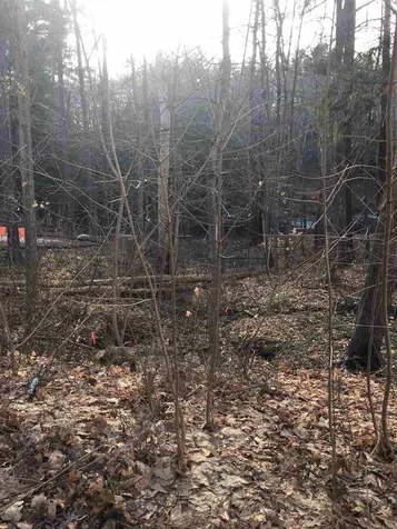 52 Oyster River Road Durham NH 03824-0009