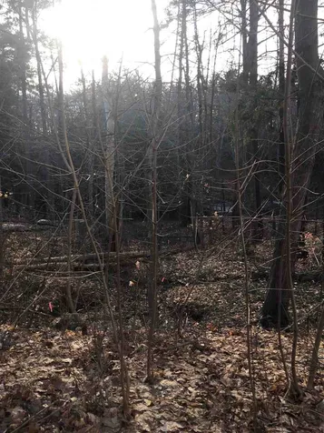 52 Oyster River Road Durham NH 03824-0009