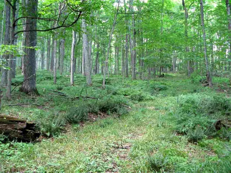 591 High Pastures Road Pomfret VT 05091