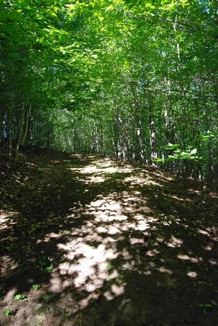 591 High Pastures Road Pomfret VT 05091