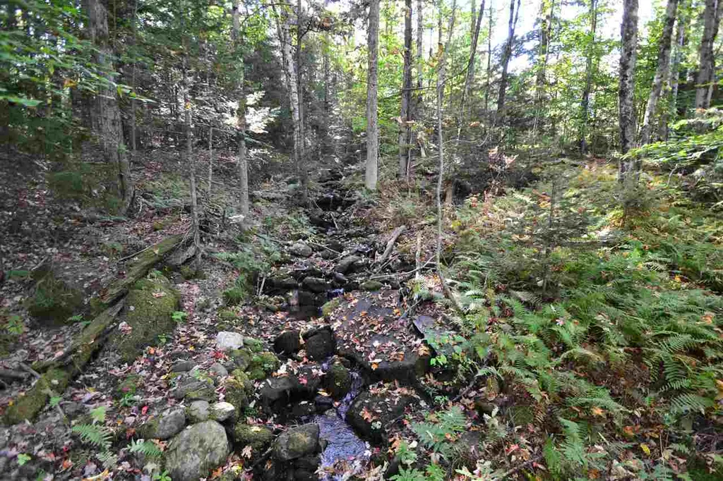 439 Behn Road Warren VT 05674