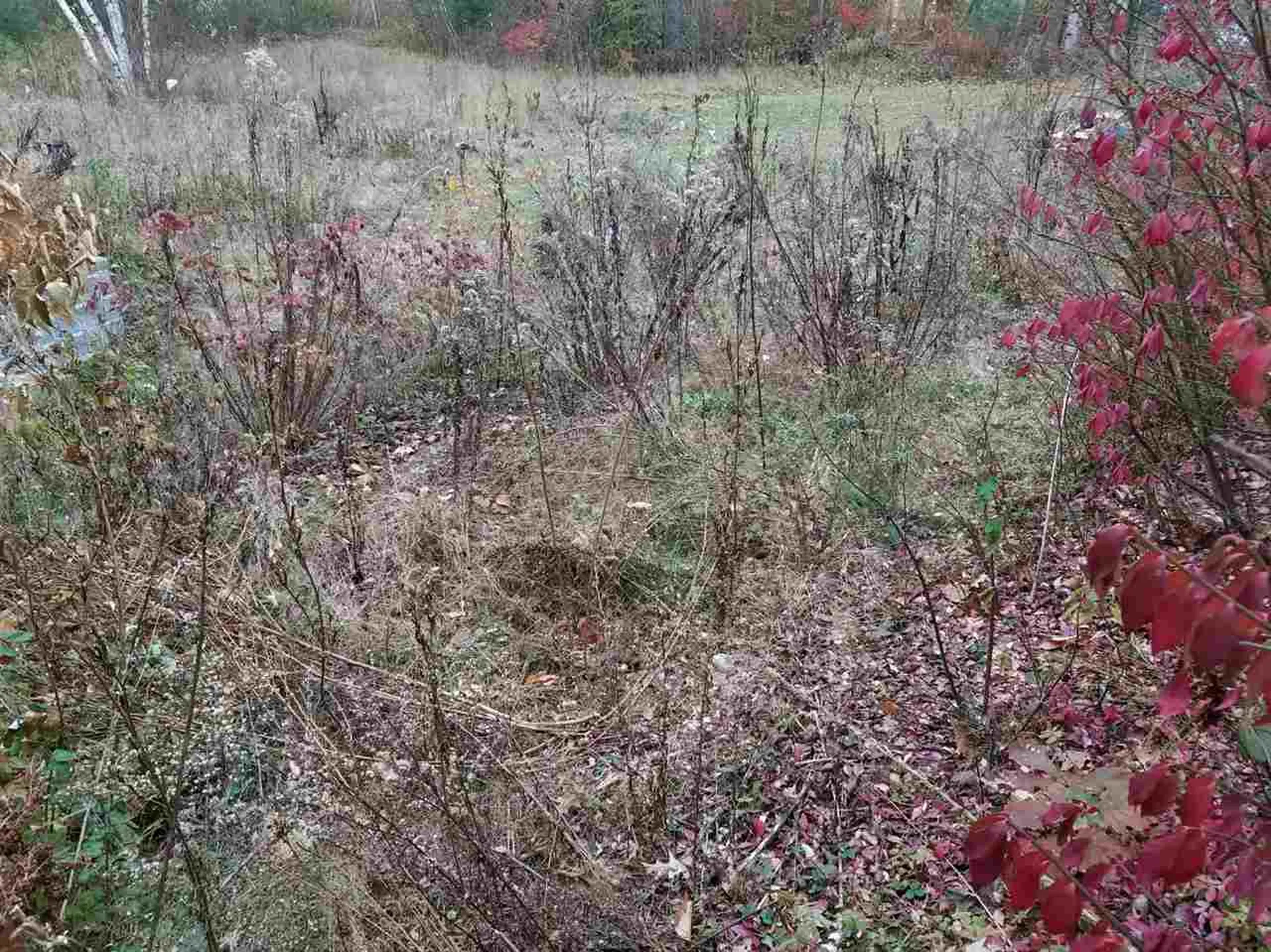 90 Shaker Road Northfield NH 03276
