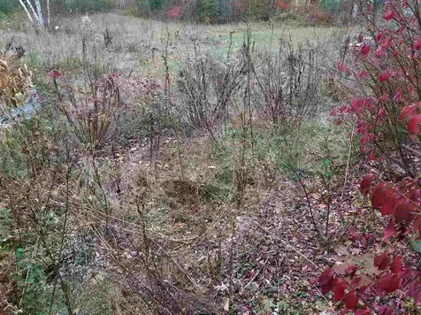 90 Shaker Road Northfield NH 03276