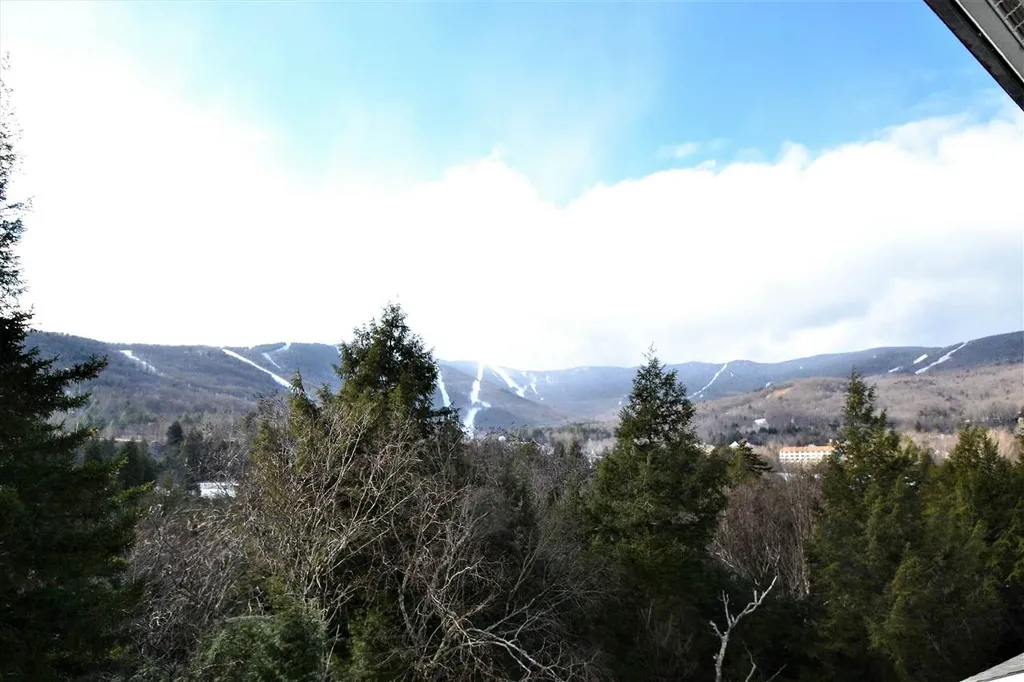 85 Bridges Upper Phase Road Warren VT 05674