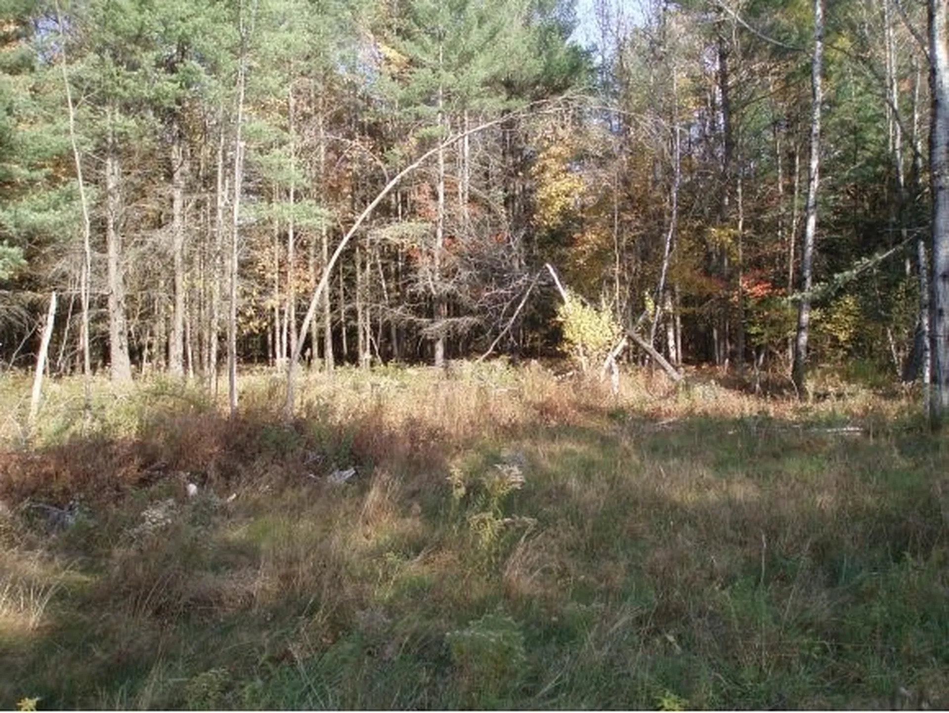 00 Applewood Village Derby VT 05829
