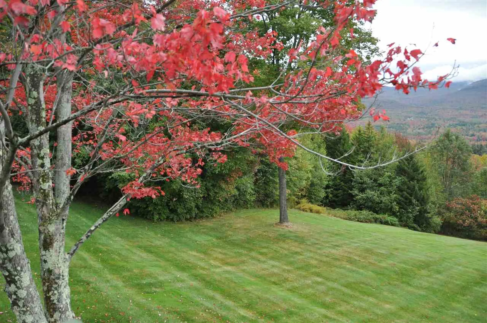 1511 West Hill Road Lincoln VT 05443