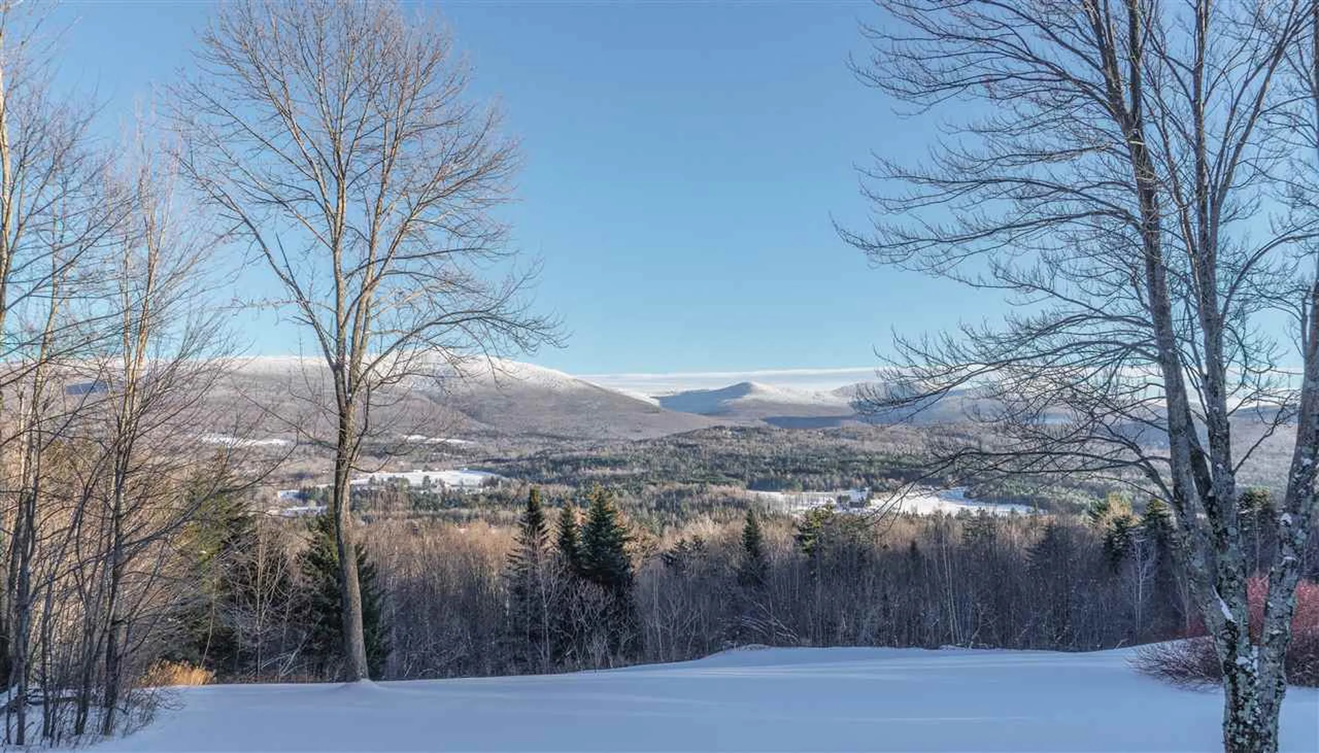 1511 West Hill Road Lincoln VT 05443