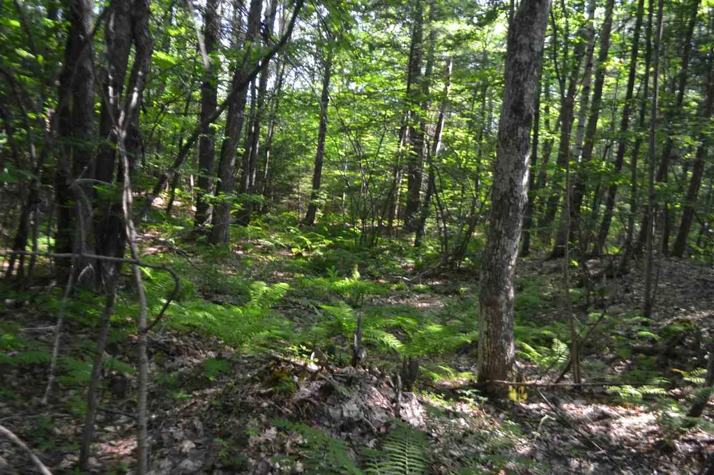 A93 & A94 Intervale Drive Gilmanton NH 03237