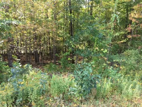 Lot 110 Stark South Highway Weare NH 03281
