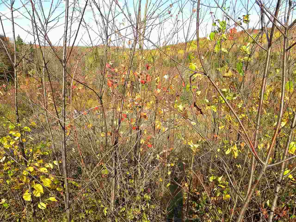 0 Canaan Hill Road Canaan VT 05903