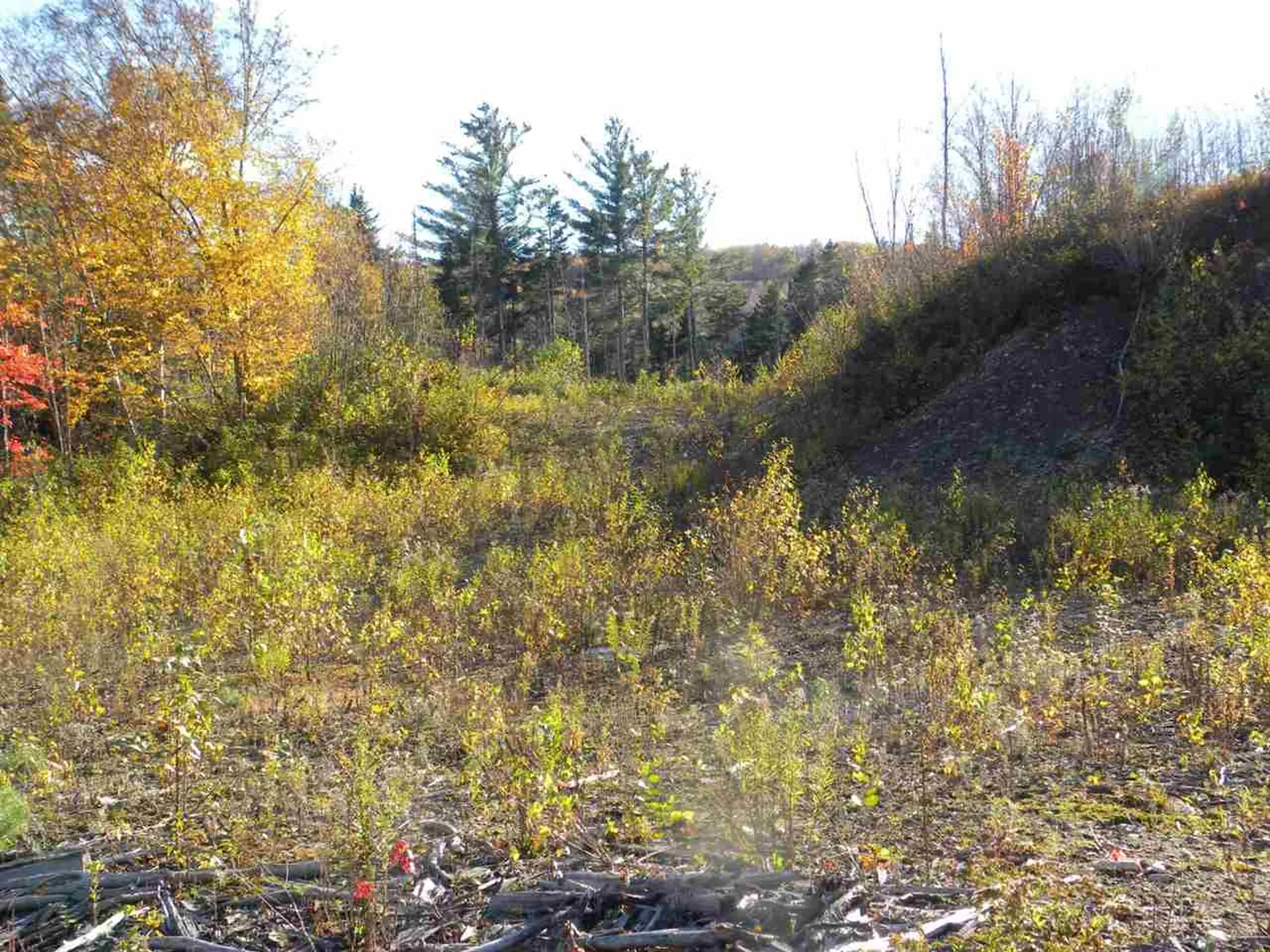 0 Canaan Hill Road Canaan VT 05903