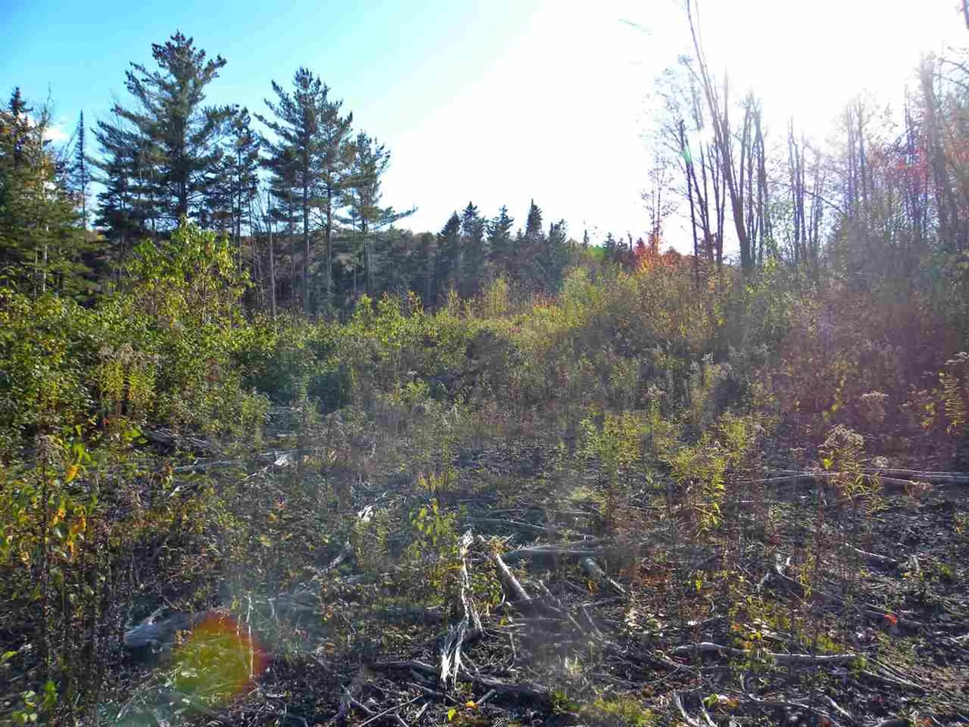 0 Canaan Hill Road Canaan VT 05903