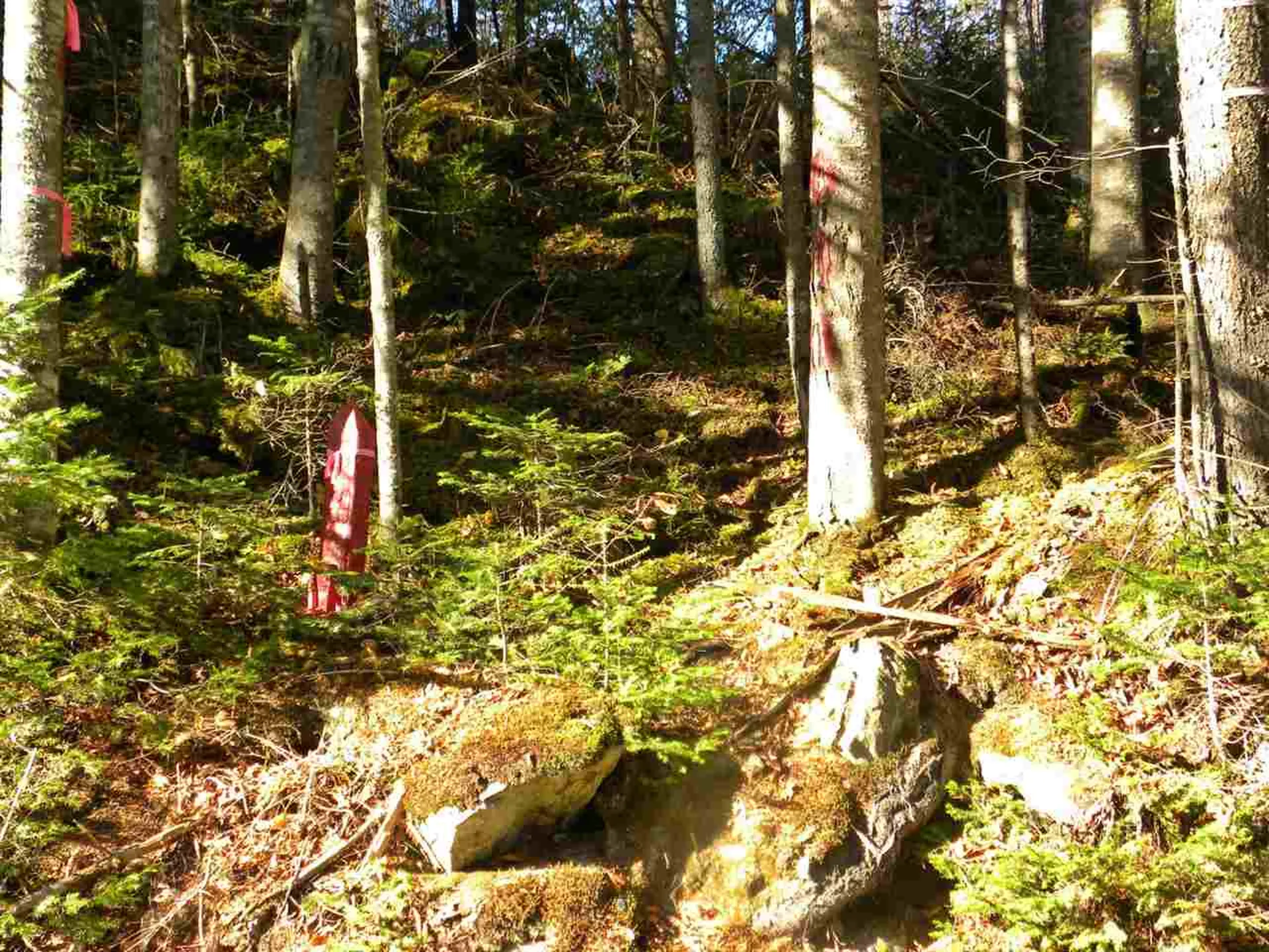 0 Canaan Hill Road Canaan VT 05903
