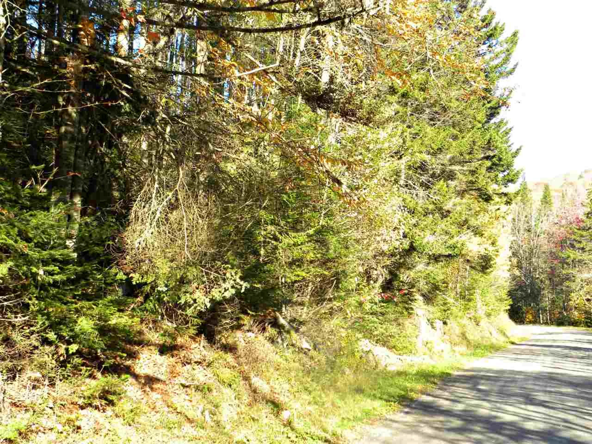 0 Canaan Hill Road Canaan VT 05903