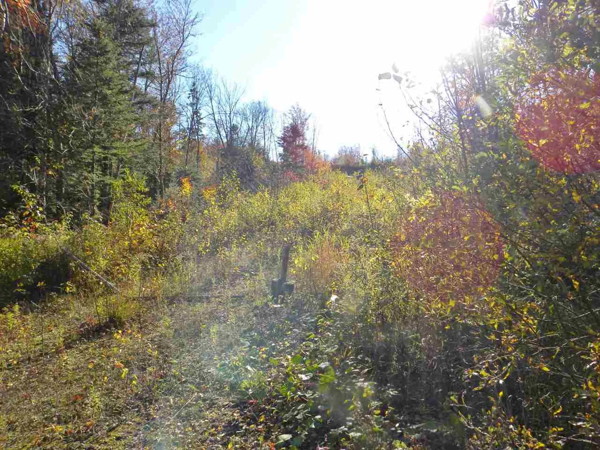 0 Canaan Hill Road Canaan VT 05903