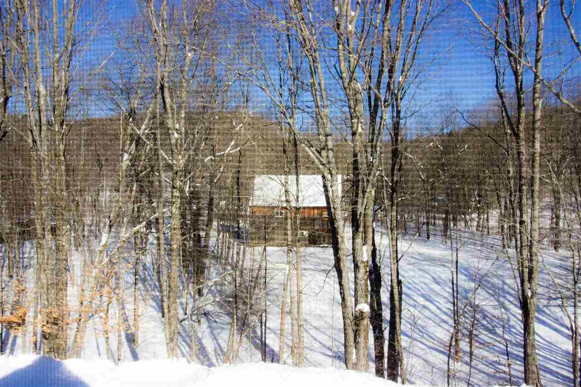 25 The Lane Woodstock VT 05091
